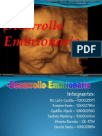 desarrollo embrionario2