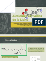 Alcaloides Derivados de La Lisina