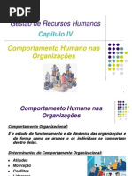 Capítulo IV - Comportamento Organizacional.pdf