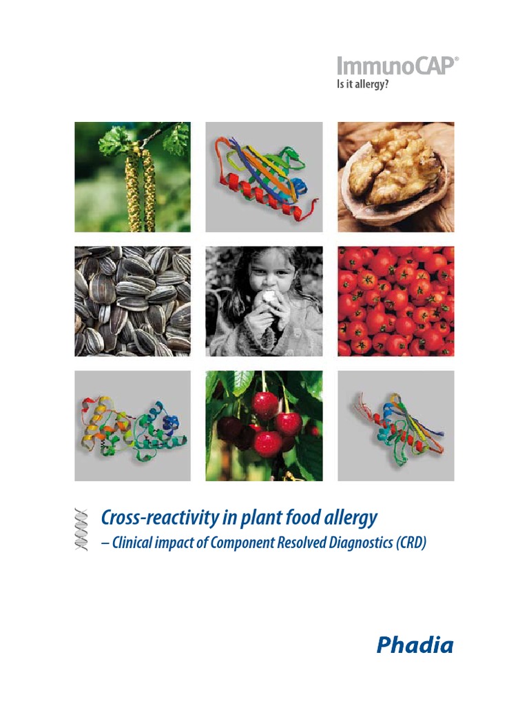 Cross Reactivity Allergen Allergy