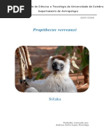 Trabalhoteorico(Reparado)