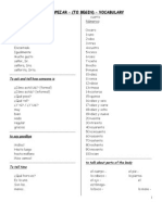 Paraempezarvocabulario ALL