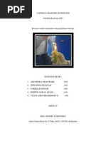 Download Praktikum ENZIM KATALASE by fisikajos SN190188801 doc pdf
