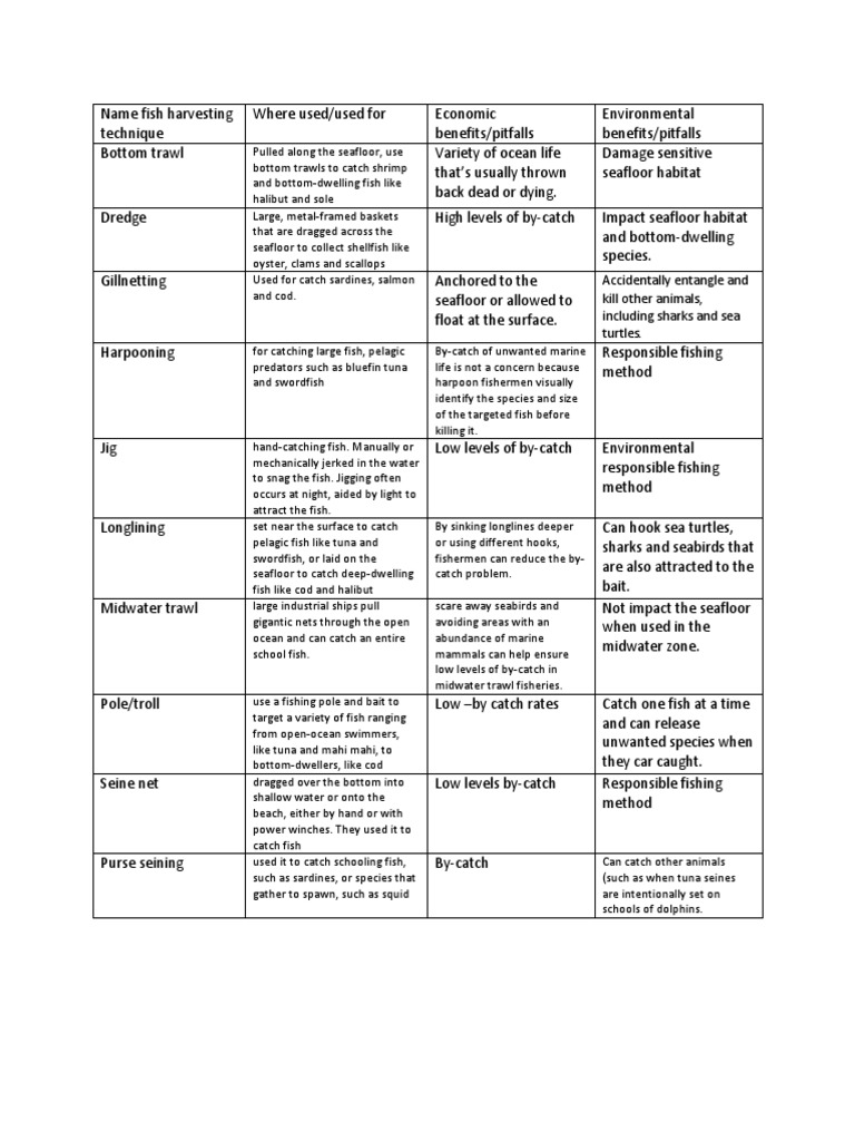 Apes Fishing Methods PDF Trawling Fish And Humans