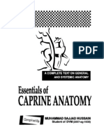 Essentials of Caprine Anatomy
