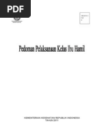 Download Pedoman Pelaksanaan Kelas Ibu Hamil by Zidni Arifa Luthfi SN190218771 doc pdf