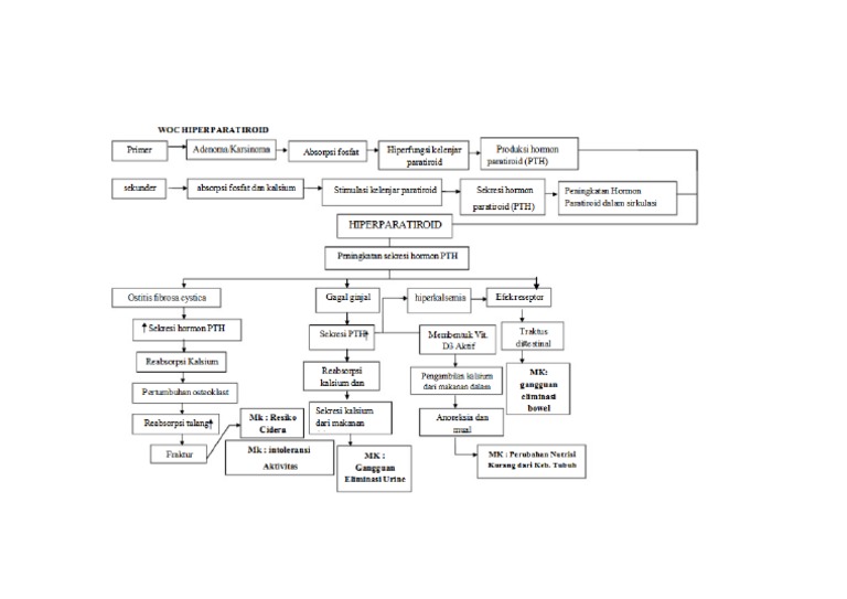 Pathway Hiperparatiroid | PDF
