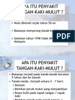 PENYAKIT TANGAN-KAKI-MULUT