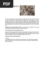 Download TERNAK KROTO by Siti Alfiah SN190229251 doc pdf