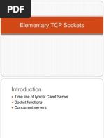 Elementary TCP Sockets