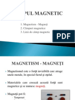 Câmpul Magnetic