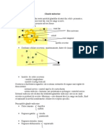 WWW Referat Ro Glandele Endocrine