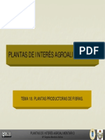 Tema 18 Plantas Para Elaborar Fibras Textiles