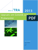 Svenska Akademisk Uppsats Om Gener RNA Och Prokaryoter