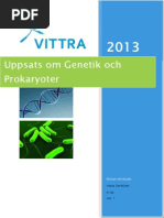 Svenska Akademisk Uppsats Om Gener RNA Och Prokaryoter