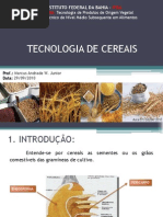 AulaTecnologia de Cereais