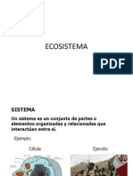 Ecosistema Parte 1