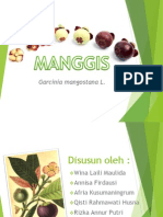 All About Manggis
