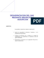 Deshidratacion Mediante Absorcin y Adsorcion