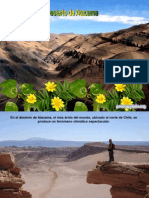 Diego Ricol Desierto de Atacama