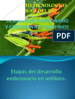 Desarrollo Embrionario y Crecimiento en Anfibios