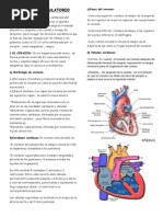 Sistema Circulatorio