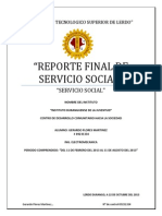 Reporte Final Servicio Social