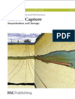 carbon capture - Sequestration and Storage 2010.pdf