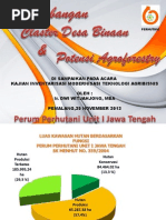 Download Pengembangan Klaster Desa Binaan dan Potensi Agroforestri Perum Perhutani by sidajateng SN190357089 doc pdf