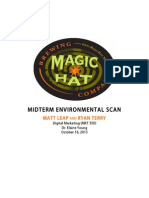 Magic Hat Environmental Scan