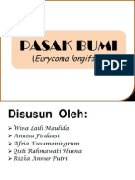 Pasak Bumi