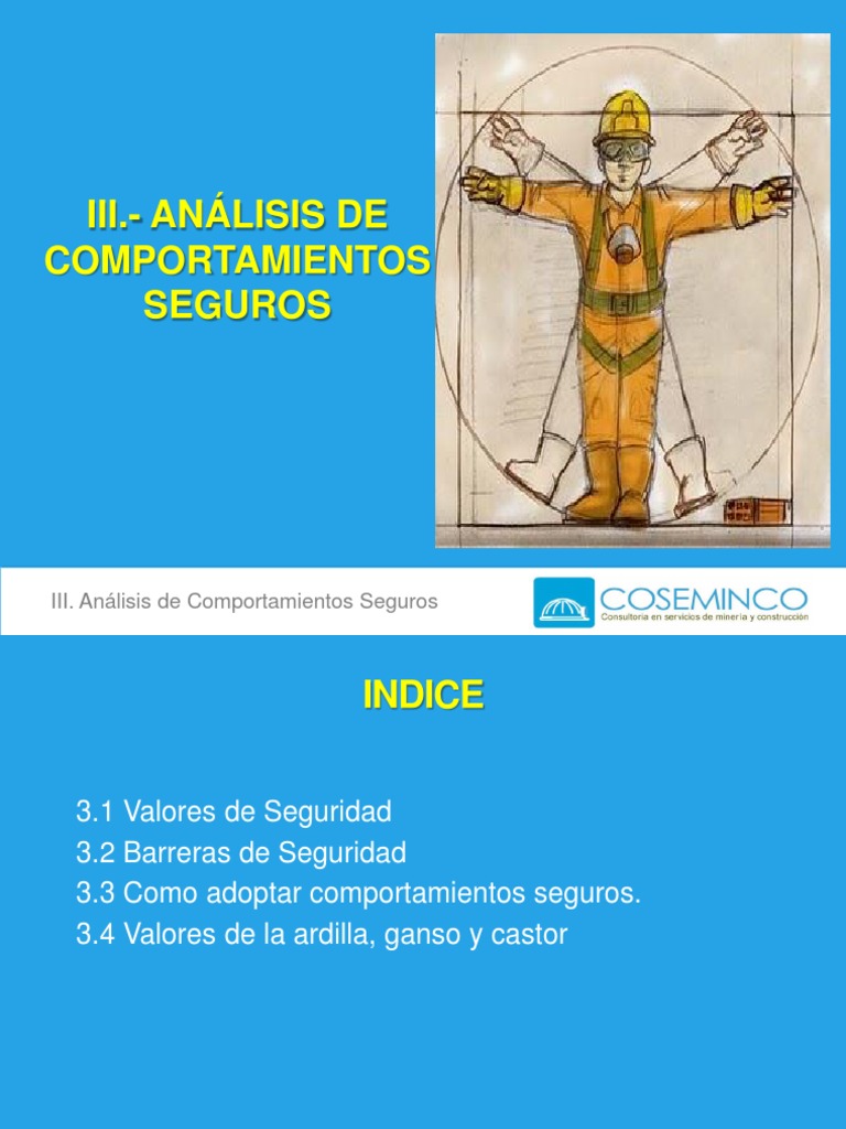 Comportamientos Seguros en el Trabajo | PDF | Comportamiento | La seguridad