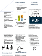 Triptico de Estilos de Aprendizaje