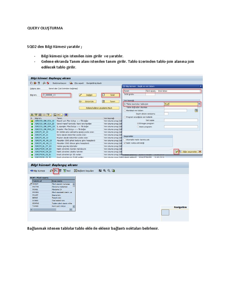 SAP Query Olusturma | PDF