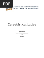 cercetari calitative, focus grup