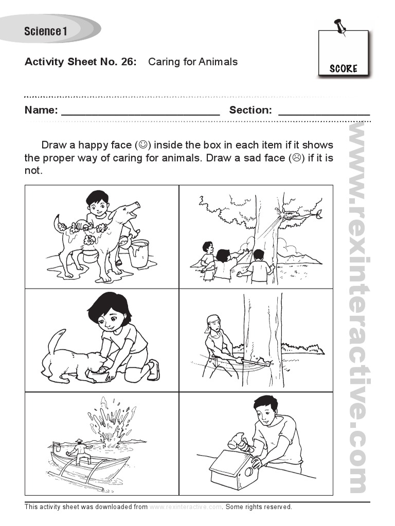 Caring for Animals Activity Sheet | PDF | Teaching Methods & Materials