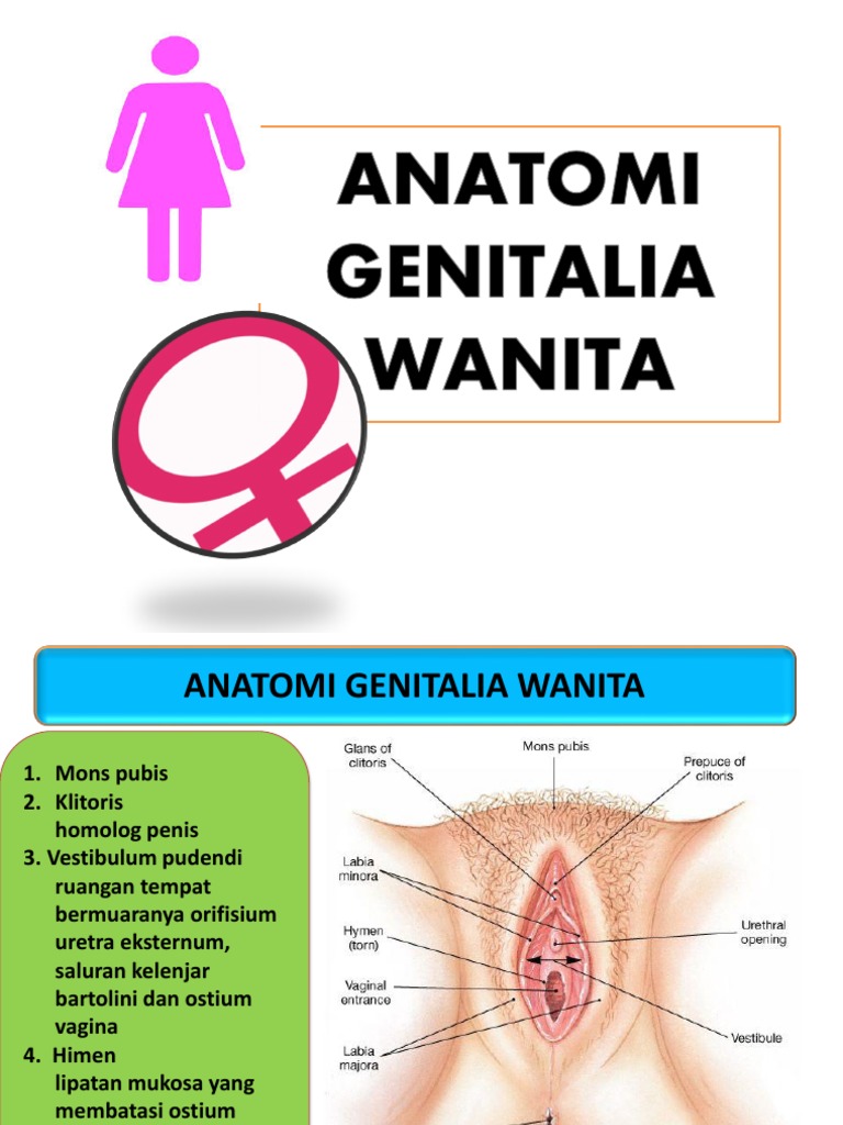 Noutbukdan ogirlangan jinsiy aloqa