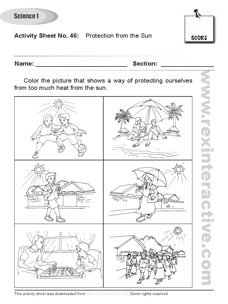 Downloadable Science1 46 | PDF