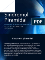 Sindromul Piramidal