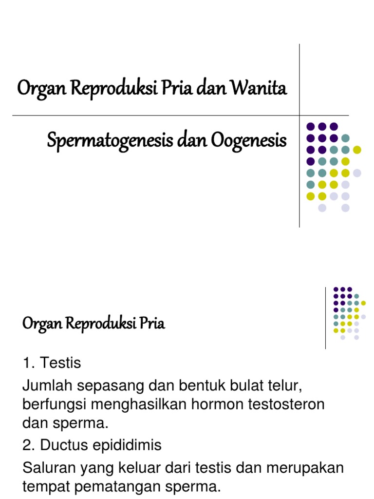 Organ Reproduksi Pria Dan Wanita Pdf