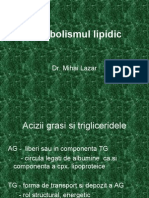 Metabolismul Lipidic