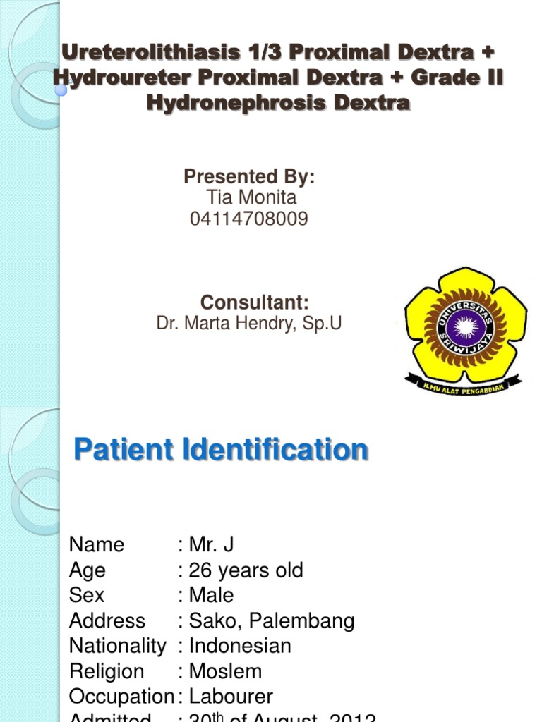 Case Ureterolithiasis | PDF | Pain | Clinical Medicine