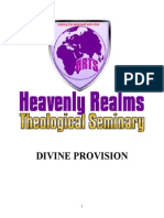 DIVINE PROVISION: BIBLICAL STRATEGIES FOR FINANCIAL FREEDOM