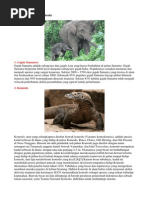 Download 10 Hewan Khas Indonesia by Joe Mahir SN190459736 doc pdf