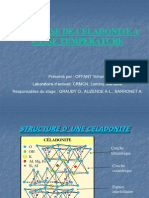Présentation celadonite.pdf
