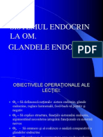 Glande Endocrine