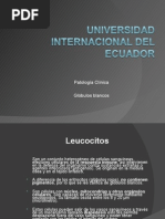 27413935 Globulos Blancos