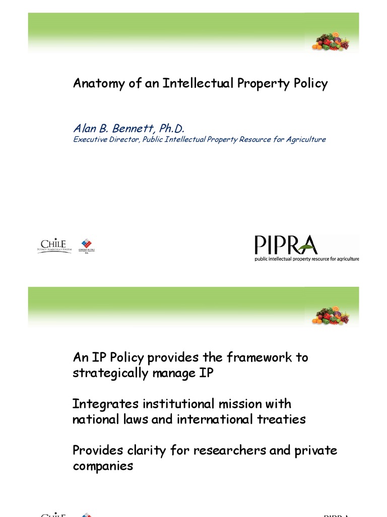 Developing an Effective IP Policy | PDF | Intellectual Property | Patent