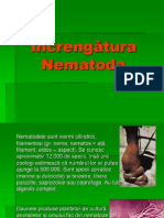 Nematode