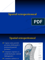 78070761 Sp Retroperitoneal Curs 9 Anatomie 31 11